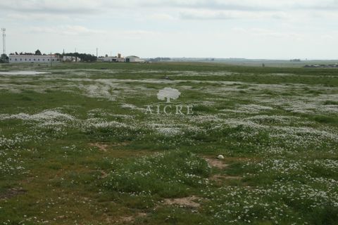 Gospodarstwo: Aljustrel, Beja, Aljustrel – 2 400 000 € | Ref: 1882022-EM – zdjęcie 10