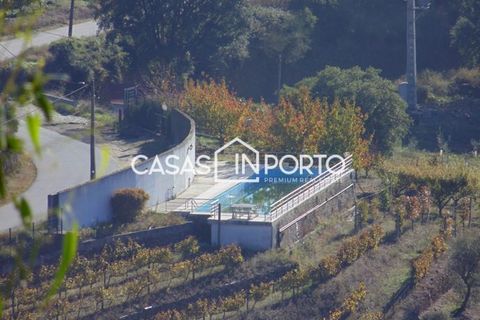 Landejendom i Baiao, Porto, Baiao - € 1.500.000 | Ref: Quinta_InDouro_2489 - foto 32