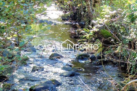 Landejendom i Baiao, Porto, Baiao - € 1.500.000 | Ref: Quinta_InDouro_2489 - foto 36
