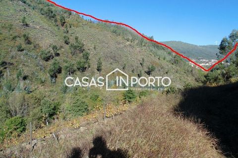 Landejendom i Baiao, Porto, Baiao - € 1.500.000 | Ref: Quinta_InDouro_2489 - foto 45