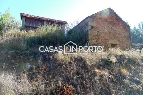 Landejendom i Baiao, Porto, Baiao - € 1.500.000 | Ref: Quinta_InDouro_2489 - foto 38