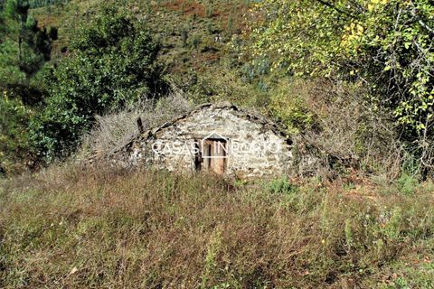 Landejendom i Baiao, Porto, Baiao - € 1.500.000 | Ref: Quinta_InDouro_2489 - foto 39