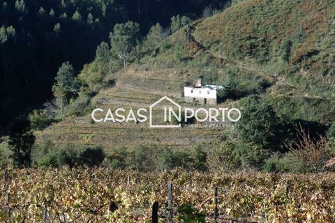 Landejendom i Baiao, Porto, Baiao - € 1.500.000 | Ref: Quinta_InDouro_2489 - foto 43