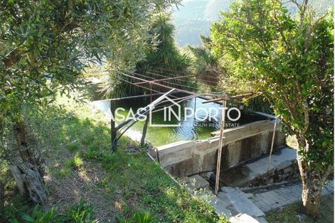 Landejendom i Baiao, Porto, Baiao - € 1.500.000 | Ref: Quinta_InDouro_2489 - foto 37