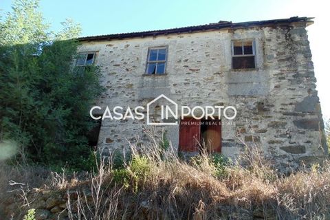 Landejendom i Baiao, Porto, Baiao - € 1.500.000 | Ref: Quinta_InDouro_2489 - foto 40