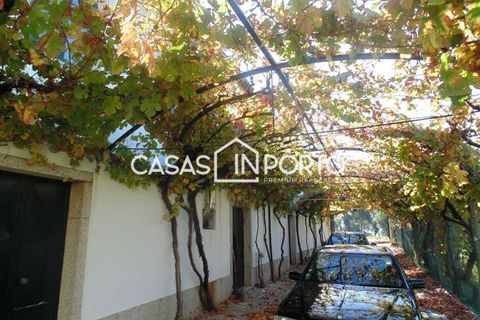 Landejendom i Baiao, Porto, Baiao - € 1.500.000 | Ref: Quinta_InDouro_2489 - foto 12