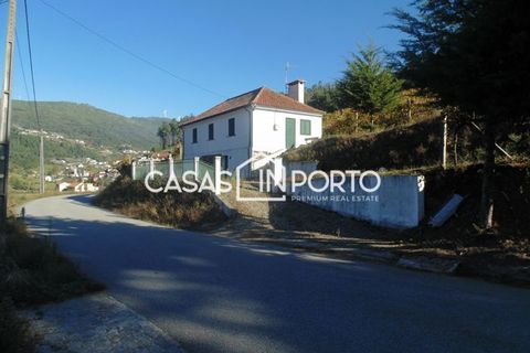 Landejendom i Baiao, Porto, Baiao - € 1.500.000 | Ref: Quinta_InDouro_2489 - foto 35