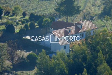 Landejendom i Baiao, Porto, Baiao - € 1.500.000 | Ref: Quinta_InDouro_2489 - foto 41