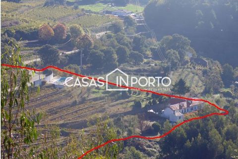 Landejendom i Baiao, Porto, Baiao - € 1.500.000 | Ref: Quinta_InDouro_2489 - foto 42