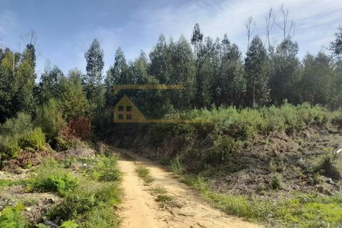 Helårsgrund i Moncao, Viana do Castelo, Moncao - € 27.500 | Ref: REF190 - foto 2