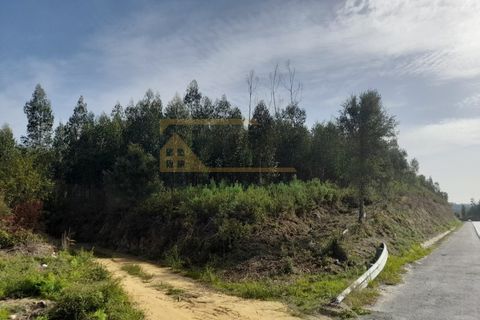 Helårsgrund i Moncao, Viana do Castelo, Moncao - € 27.500 | Ref: REF190 - foto 3