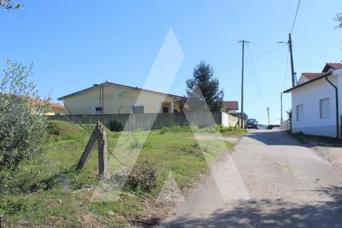 Helårsgrund i Coimbra, Coimbra, Coimbra - € 100.000 | Ref: 1120878/22CB - foto 3