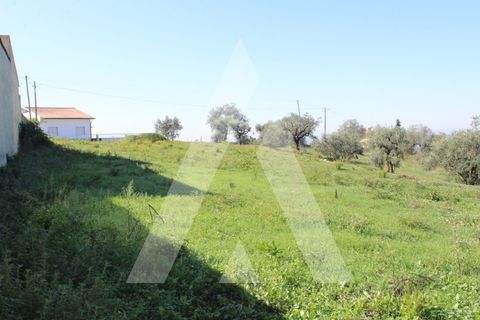 Helårsgrund i Coimbra, Coimbra, Coimbra - € 100.000 | Ref: 1120878/22CB - foto 10