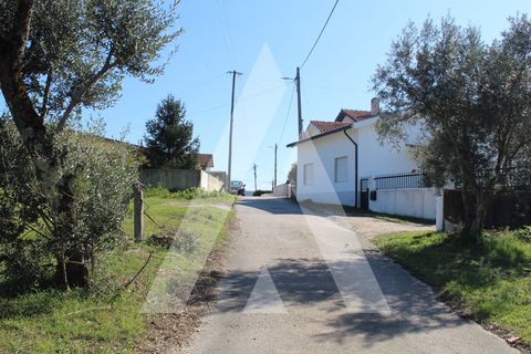 Helårsgrund i Coimbra, Coimbra, Coimbra - € 100.000 | Ref: 1120878/22CB - foto 11
