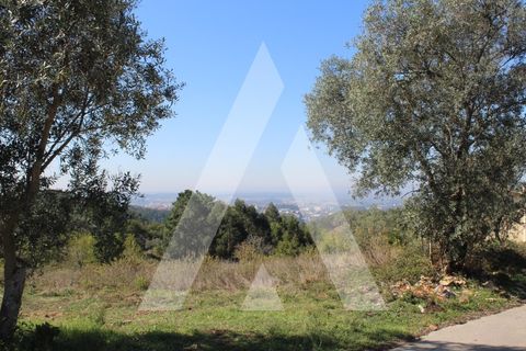 Helårsgrund i Coimbra, Coimbra, Coimbra - € 100.000 | Ref: 1120878/22CB - foto 12