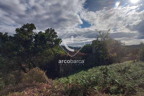 Terra a Ponte de Lima, Viana do Castelo, Ponte de Lima - € 85.000 | Ref: AV5479 - foto 3