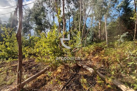 Terra a Ponte de Lima, Viana do Castelo, Ponte de Lima - € 85.000 | Ref: AV5479 - foto 2