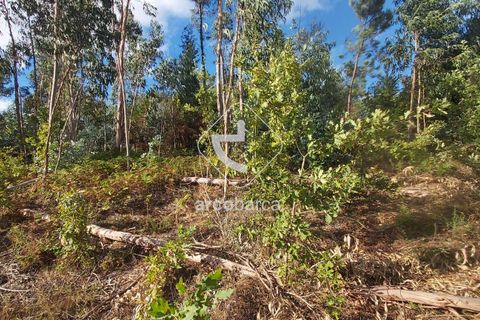 Terra a Ponte de Lima, Viana do Castelo, Ponte de Lima - € 85.000 | Ref: AV5479 - foto 4