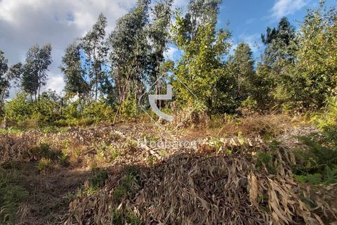 Terra a Ponte de Lima, Viana do Castelo, Ponte de Lima - € 85.000 | Ref: AV5479 - foto 5