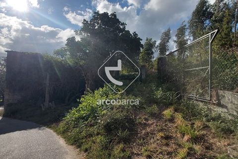 Terra a Ponte de Lima, Viana do Castelo, Ponte de Lima - € 85.000 | Ref: AV5479 - foto 6