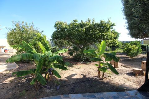 Finca i Elche, Alicante, Elche - € 1.190.000 | Ref: 4141 - foto 25