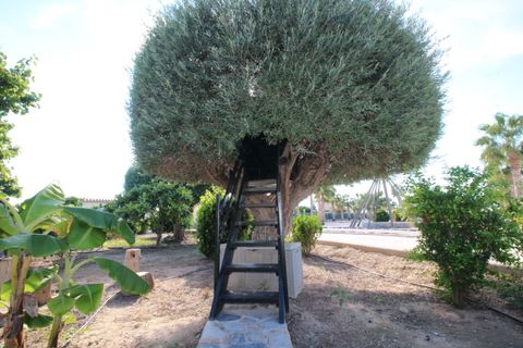 Finca i Elche, Alicante, Elche - € 1.190.000 | Ref: 4141 - foto 23