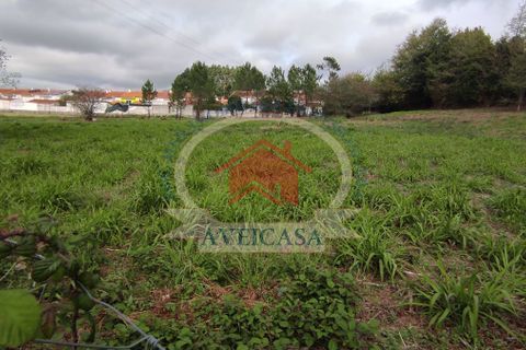 Helårsgrund i Aveiro, Aveiro, Aveiro - € 180.000 | Ref: 10170 - foto 6