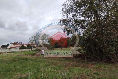 Helårsgrund i Aveiro, Aveiro, Aveiro - € 180.000 | Ref: 10170 - foto 8