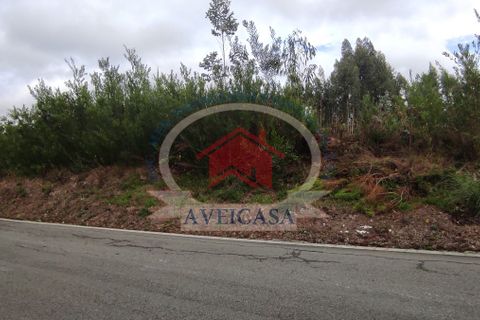 Helårsgrund i Ilhavo, Aveiro, Ilhavo - € 100.000 | Ref: 10175 - foto 6