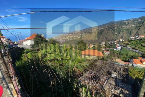 Helårsgrund i Ribeira Brava, Madeira, Ribeira Brava - € 100.000 | Ref: TER_587_VG - foto 3