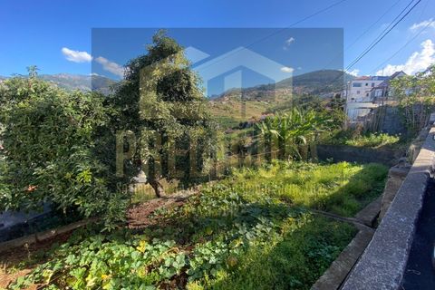 Helårsgrund i Ribeira Brava, Madeira, Ribeira Brava - € 100.000 | Ref: TER_587_VG - foto 5