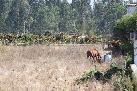 Helårsgrund i Eixo e Eirol, Aveiro, Eixo e Eirol - € 200.000 | Ref: AV22/202 - foto 1
