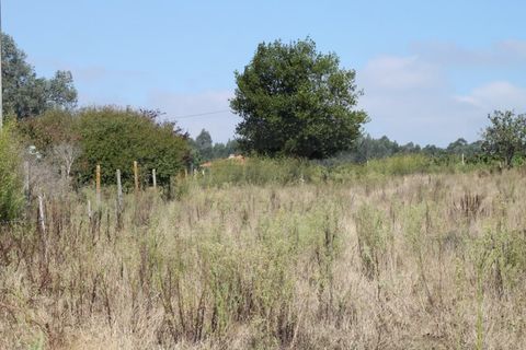 Helårsgrund i Eixo e Eirol, Aveiro, Eixo e Eirol - € 200.000 | Ref: AV22/202 - foto 2