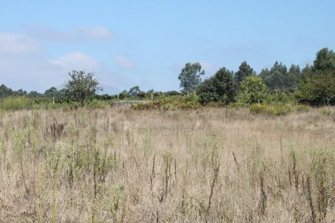 Helårsgrund i Eixo e Eirol, Aveiro, Eixo e Eirol - € 200.000 | Ref: AV22/202 - foto 4