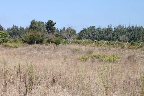 Helårsgrund i Eixo e Eirol, Aveiro, Eixo e Eirol - € 200.000 | Ref: AV22/202 - foto 5