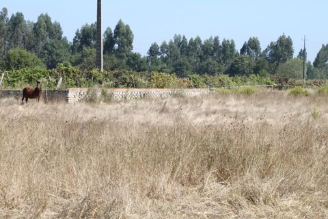 Helårsgrund i Eixo e Eirol, Aveiro, Eixo e Eirol - € 200.000 | Ref: AV22/202 - foto 6
