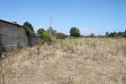 Helårsgrund i Eixo e Eirol, Aveiro, Eixo e Eirol - € 200.000 | Ref: AV22/202 - foto 8