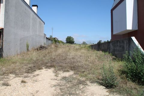 Helårsgrund i Eixo e Eirol, Aveiro, Eixo e Eirol - € 200.000 | Ref: AV22/202 - foto 11
