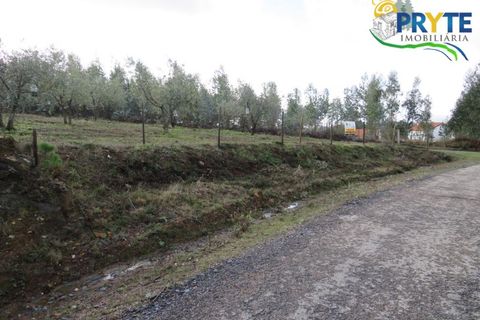 Helårsgrund i Serta, Castelo Branco, Serta - € 44.920 | Ref: VF211 - foto 1