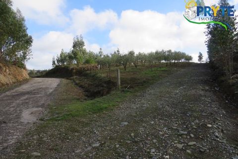 Helårsgrund i Serta, Castelo Branco, Serta - € 44.920 | Ref: VF211 - foto 2