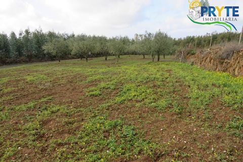 Helårsgrund i Serta, Castelo Branco, Serta - € 44.920 | Ref: VF211 - foto 6