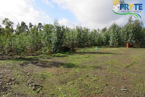 Helårsgrund i Serta, Castelo Branco, Serta - € 44.920 | Ref: VF211 - foto 7