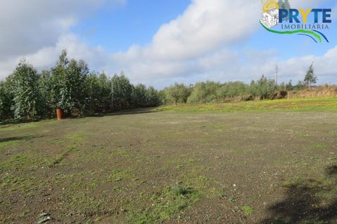Helårsgrund i Serta, Castelo Branco, Serta - € 44.920 | Ref: VF211 - foto 8