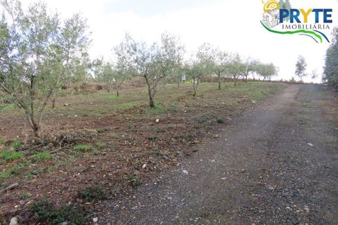 Helårsgrund i Serta, Castelo Branco, Serta - € 44.920 | Ref: VF211 - foto 10