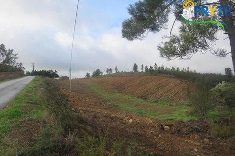 Ruinere i Serta, Castelo Branco, Serta - € 39.000 | Ref: AA212 - foto 2