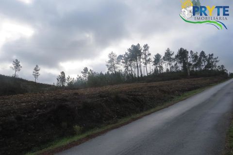 Ruinere i Serta, Castelo Branco, Serta - € 39.000 | Ref: AA212 - foto 3