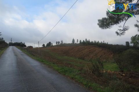 Ruinere i Serta, Castelo Branco, Serta - € 39.000 | Ref: AA212 - foto 5
