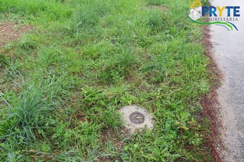 Ruinere i Serta, Castelo Branco, Serta - € 39.000 | Ref: AA212 - foto 6