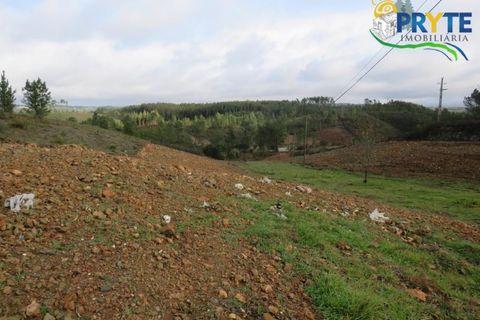 Ruinere i Serta, Castelo Branco, Serta - € 39.000 | Ref: AA212 - foto 9