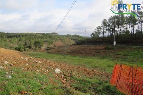 Ruinere i Serta, Castelo Branco, Serta - € 39.000 | Ref: AA212 - foto 10